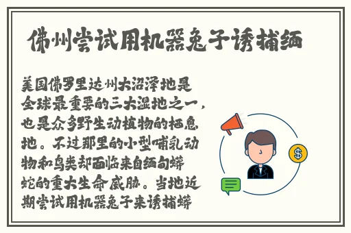 免费网站W.W.W正能量